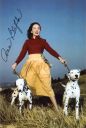 Nazwa pliku=Ann_Blyth_2.jpg
Wielkość pliku=65KiB
Rozmiar=401x595
Data dodania= 03, Marzec 2023 Ann_Blyth_2.jpg