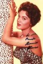 Nazwa pliku=Connie_Francis_1.jpg
Wielkość pliku=70KiB
Rozmiar=269x400
Data dodania= 01, Luty 2021 Connie_Francis_1.jpg